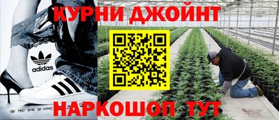 соль курить ск Гатчина