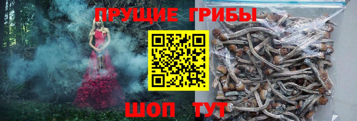 Псилоцибиновые грибы прущие грибы  Вход с VPN  Пермь 