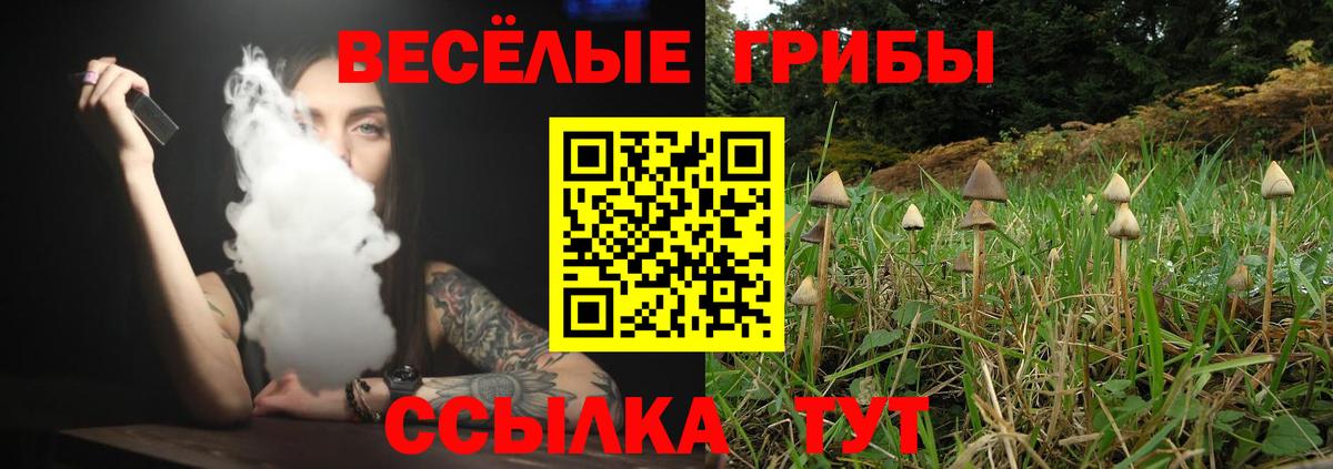 Галлюциногенные грибы Cubensis Пермь